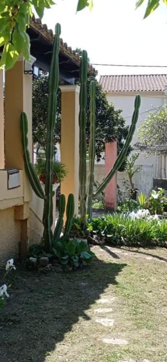 Villa Roula'S House Nymfai Exterior foto